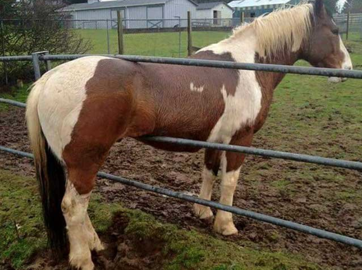 Đánh bay mọi logic, đây chính là những bức ảnh khó tin đến mức hài hước - 8