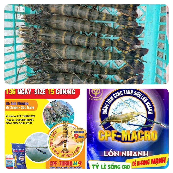 Thủy sản Nam Phú Hưng: Xây dựng thương hiệu từ chữ tín - 2