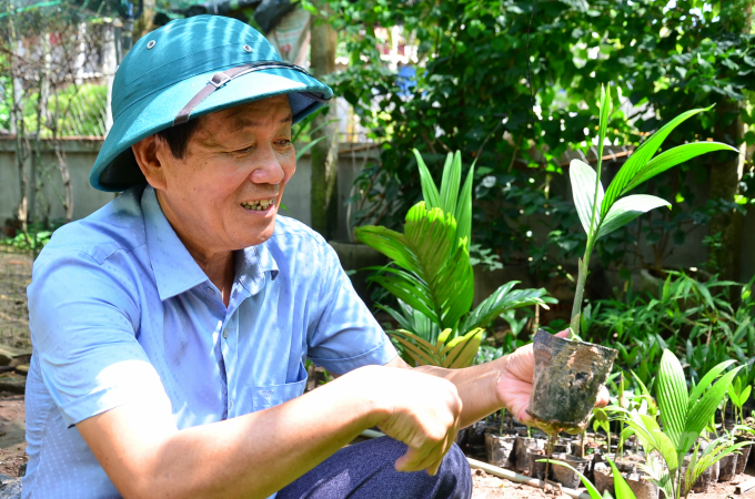 Loại cây ăn một nắm muối, trả một phân vàng - 3