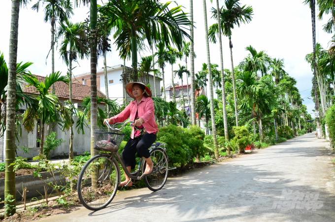 Loại cây ăn một nắm muối, trả một phân vàng - 2