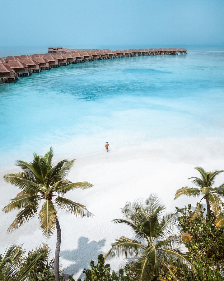 Hòn đảo thiên đường được hình thành từ phân cá thu hút du khách thế giới - 3