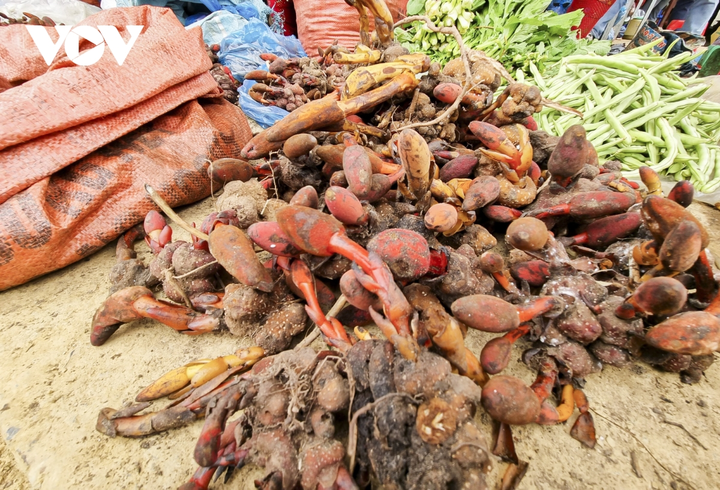 Ảnh: Độc đáo, hấp dẫn chợ phiên vùng cao Tủa Chùa - 5