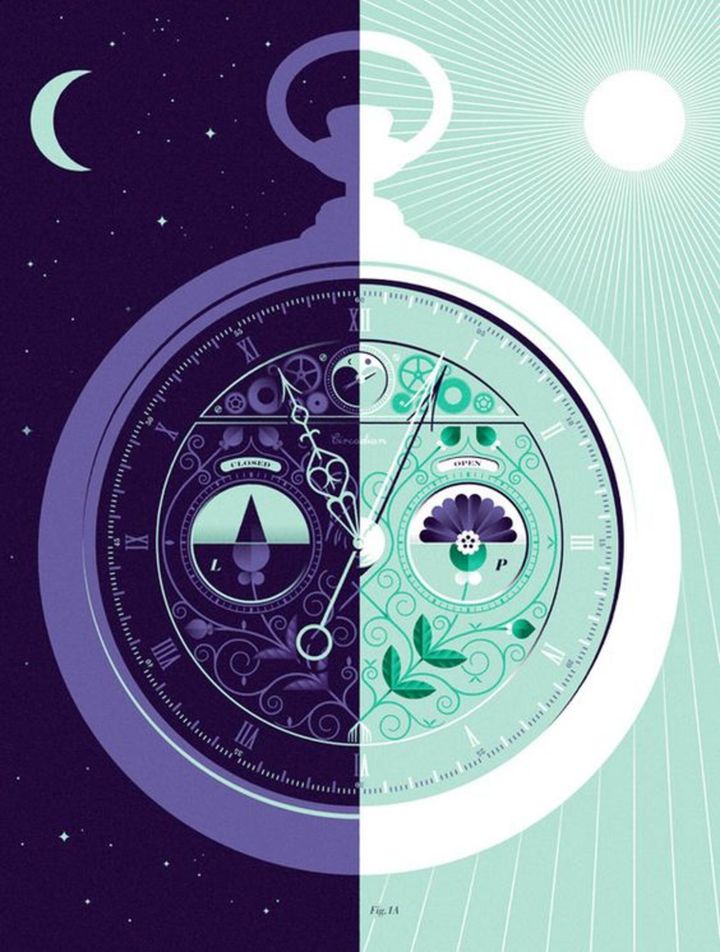 4 kỹ năng để ‘sinh tồn’ giữa thời hiện đại mà bạn buộc phải biết - 3