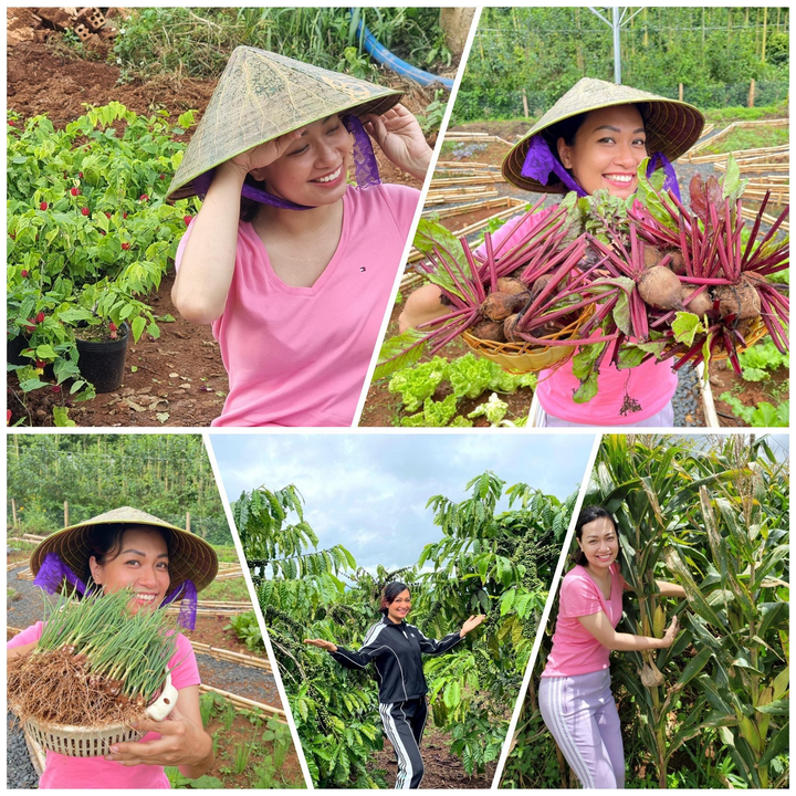 Nữ doanh nhân chia sẻ những điều tuyệt vời khi 'bỏ phố về quê' - 2