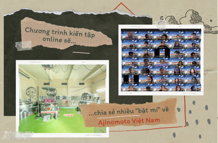 Hoạt động kiến tập 'bình thường mới' cho sinh viên - 3
