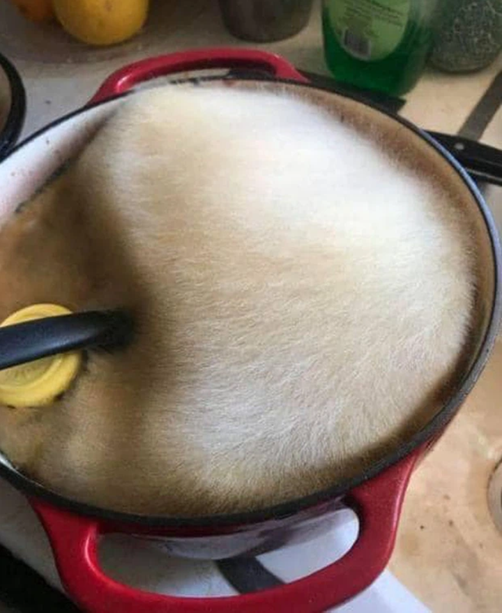 Món 'kẹo bông gòn' bằng nồi cơm điện: Ai thấy cũng bỏ chạy vì quá bốc mùi - 8