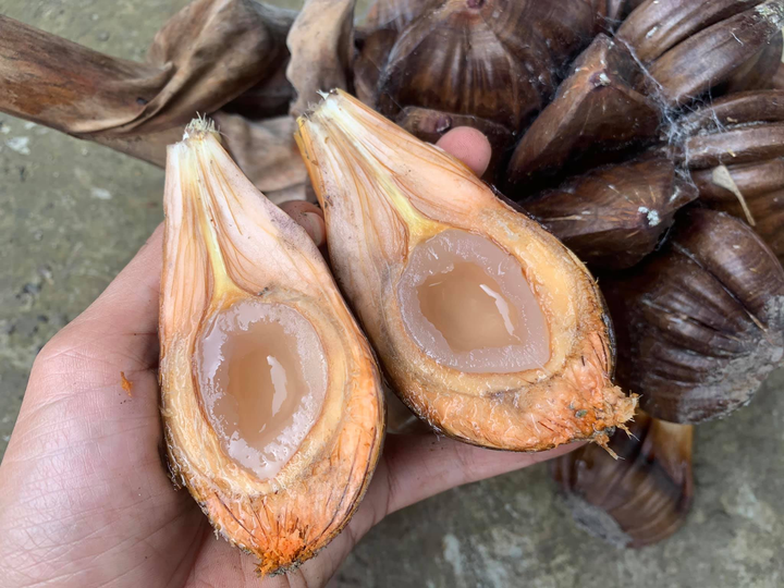 Loại quả 'xấu xí' bị nhiều người xa lánh lại rất được ưa chuộng ở Trung Quốc - 4