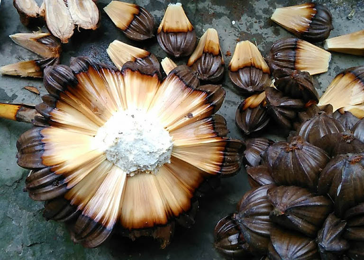 Loại quả 'xấu xí' bị nhiều người xa lánh lại rất được ưa chuộng ở Trung Quốc - 2