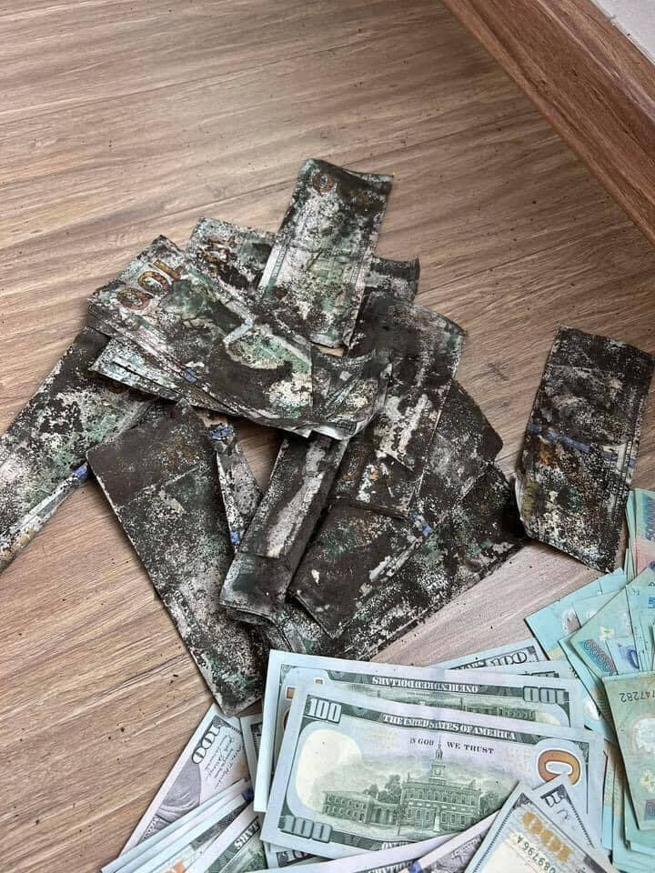 Tiền hóa thành ‘giấy lộn’ sau 2 năm bỏ heo đất, chủ tài sản nhờ dân mạng hiến kế - 1