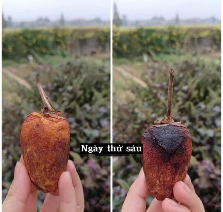 Dân mạng thi nhau làm hồng treo gió và cái kết lại cười ra nước mắt - 3