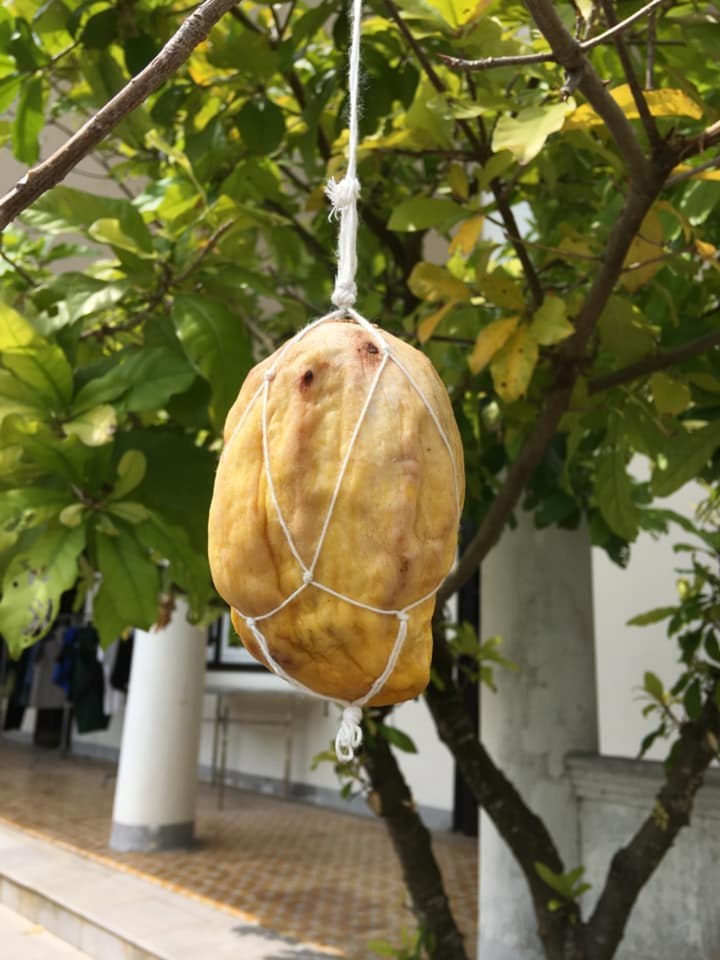 Dân mạng thi nhau làm hồng treo gió và cái kết lại cười ra nước mắt - 9