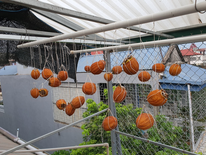 Dân mạng thi nhau làm hồng treo gió và cái kết lại cười ra nước mắt - 8