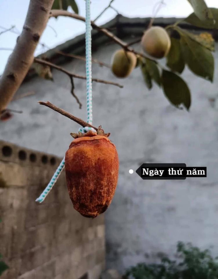 Dân mạng thi nhau làm hồng treo gió và cái kết lại cười ra nước mắt - 2