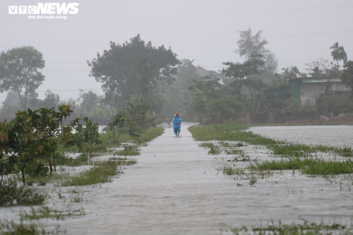 Ảnh: Nước dâng nhanh, người dân Hà Tĩnh giăng lưới bắt cá giữa đường - 8