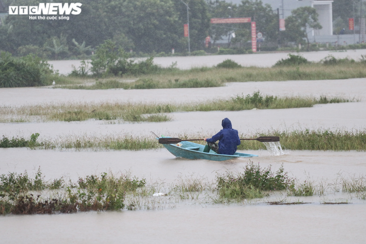 Ảnh: Nước dâng nhanh, người dân Hà Tĩnh giăng lưới bắt cá giữa đường - 9
