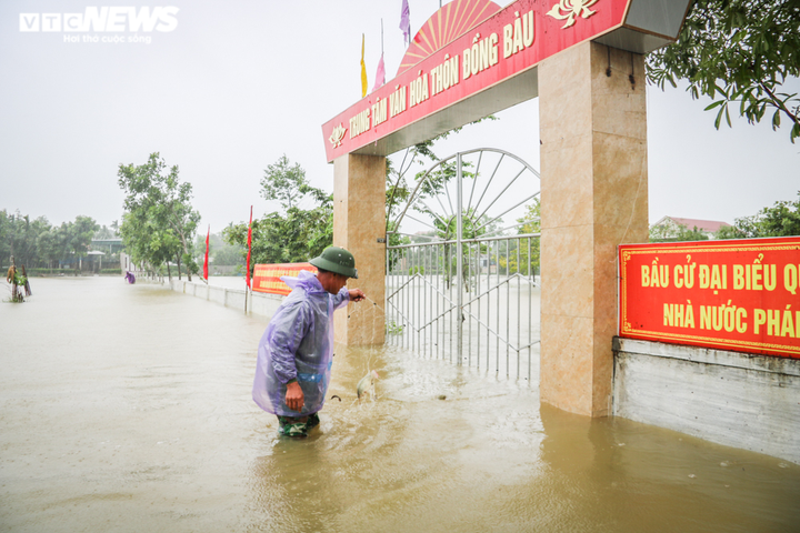Ảnh: Nước dâng nhanh, người dân Hà Tĩnh giăng lưới bắt cá giữa đường - 2