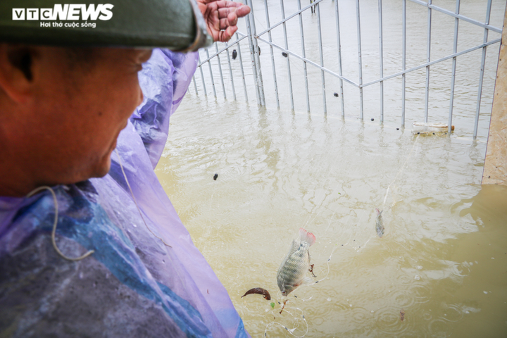 Ảnh: Nước dâng nhanh, người dân Hà Tĩnh giăng lưới bắt cá giữa đường - 4