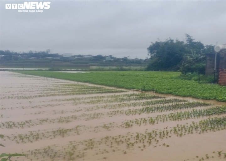 Mưa trắng trời, miền Trung - Tây Nguyên chìm trong biển nước, sạt lở chia cắt - 11