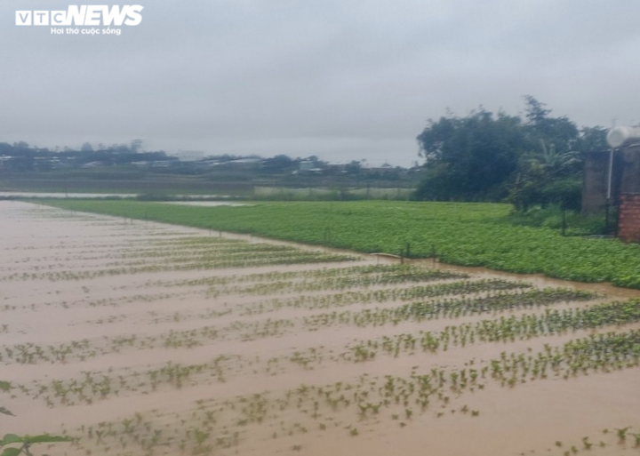 Mưa lớn kéo dài, nhiều vùng ở Tây Nguyên chìm trong biển nước - 4