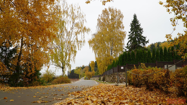 Thị trấn Plios - nơi in dấu danh họa Levitan và mùa thu vàng nước Nga - 2