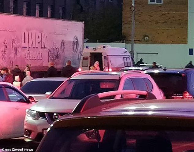 Gấu tấn công nghệ sĩ xiếc đang mang thai ngay trên sân khấu - 4