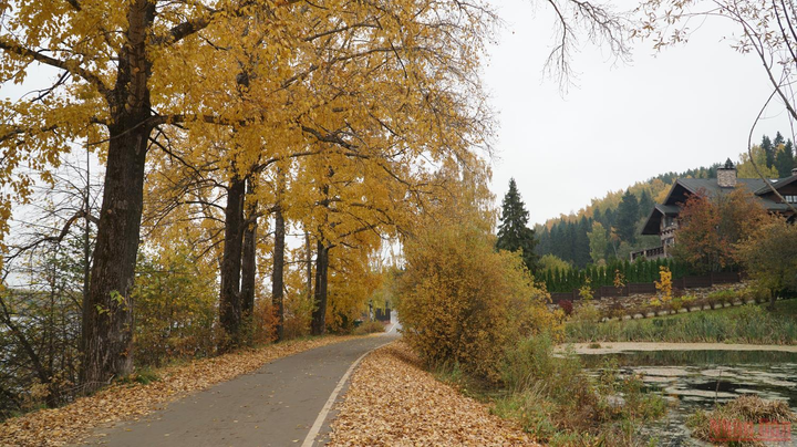 Thị trấn Plios - nơi in dấu danh họa Levitan và mùa thu vàng nước Nga - 5