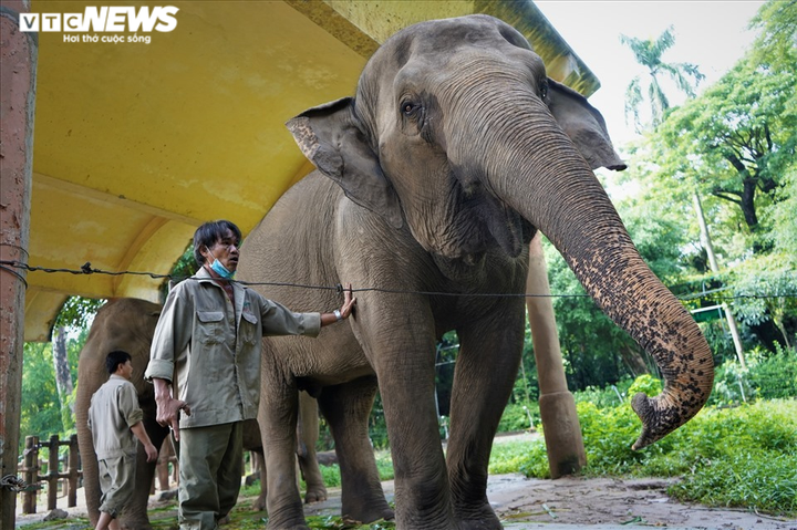 TP.HCM đề xuất hỗ trợ học phí cho học sinh và hỗ trợ Thảo Cầm Viên - 2