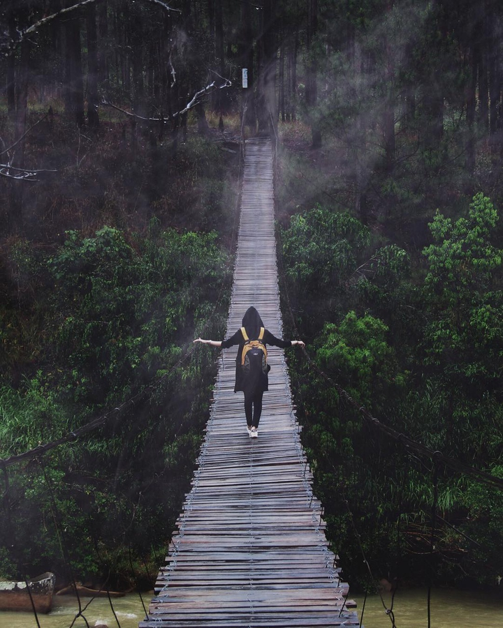 Cầu treo nguy hiểm nhất Đà Lạt có view cực chill không dành cho người yếu tim - 2