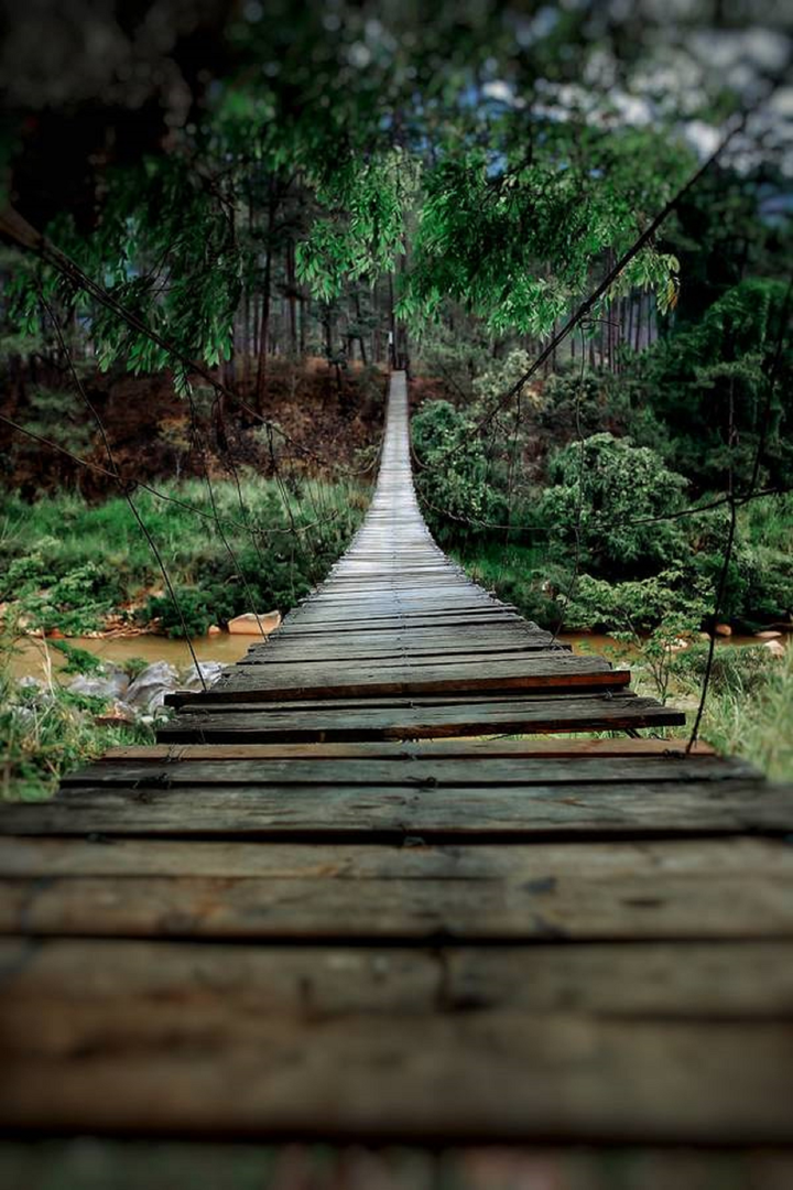 Cầu treo nguy hiểm nhất Đà Lạt có view cực chill không dành cho người yếu tim - 6