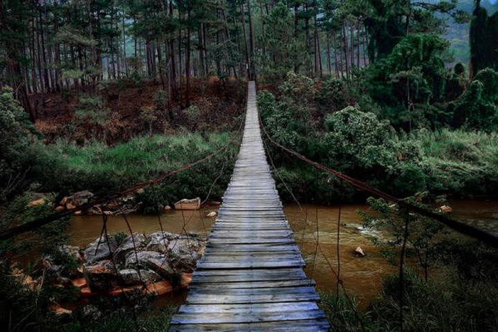 Cầu treo nguy hiểm nhất Đà Lạt có view cực chill không dành cho người yếu tim - 1