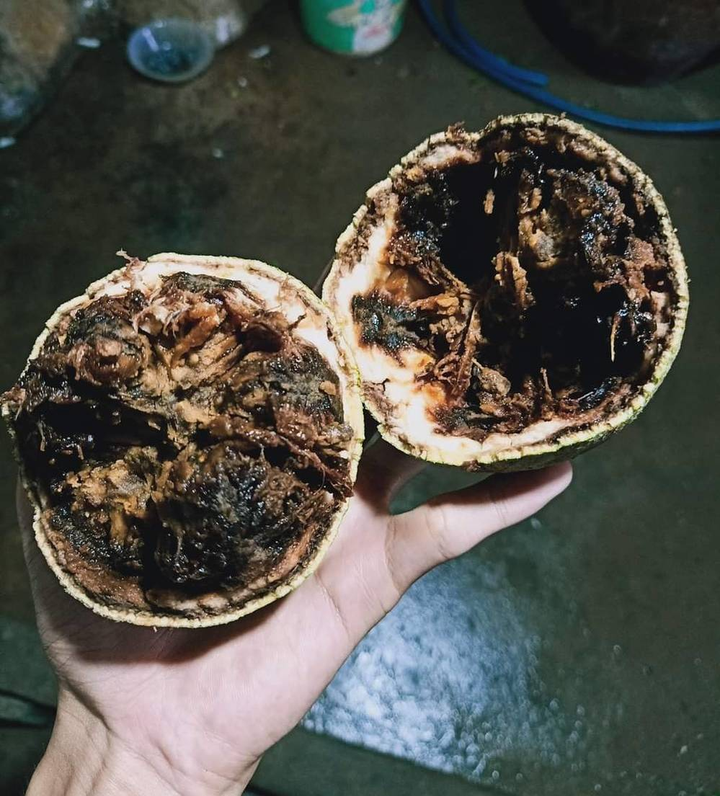 Lạ đời loại quả miền Tây vỏ cứng như đá, bổ ra đen sì nhưng nấu món nào cũng mê - 4