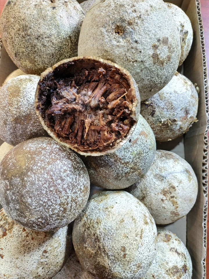 Lạ đời loại quả miền Tây vỏ cứng như đá, bổ ra đen sì nhưng nấu món nào cũng mê - 1