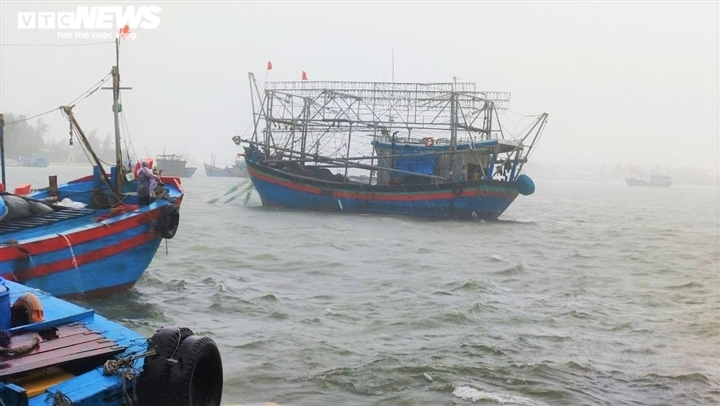 Tìm thấy thi thể một ngư dân trên tàu cá mất tích ở vùng biển đảo Lý Sơn - 1