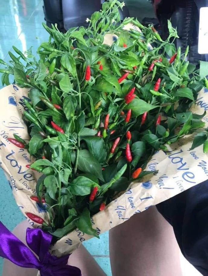 Cười bò với các món quà 'giá trị thấp nhưng độ mặn cao' của hội thanh niên - 7