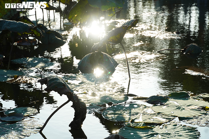 Chùa Giáng, chốn cổ tự yên bình của Đại lão Hòa thượng Thích Phổ Tuệ - 16