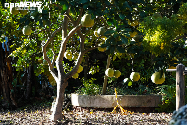 Chùa Giáng, chốn cổ tự yên bình của Đại lão Hòa thượng Thích Phổ Tuệ - 13