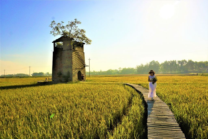 Lò gạch cũ Quảng Nam - Điểm ‘săn’ ảnh đẹp như thiên đường không thể bỏ qua - 8