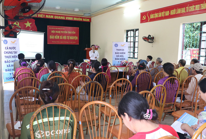 Đưa chính sách BHXH tự nguyện đến gần người dân huyện đảo ở Hải Phòng - 4