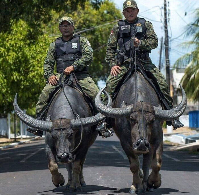 'Đau não' trước các tình huống chưa từng thấy này, 'IQ vô cực' mới nghĩ ra - 6