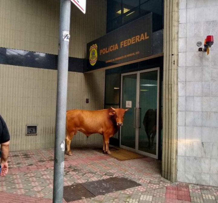 'Đau não' trước các tình huống chưa từng thấy này, 'IQ vô cực' mới nghĩ ra - 5