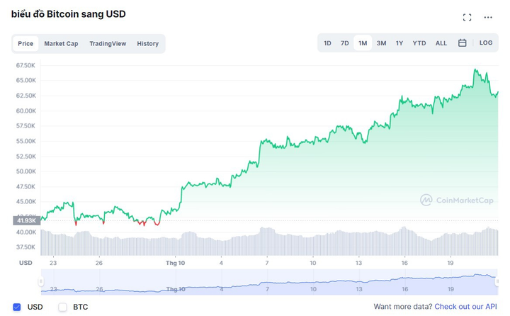 Bitcoin tăng giá nhưng nhiều nhà đầu tư Việt không vui - 1