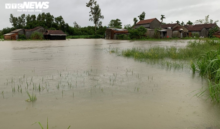 Ảnh: Mưa trắng trời, nhiều tuyến đường ở Quảng Ngãi biến thành sông - 5