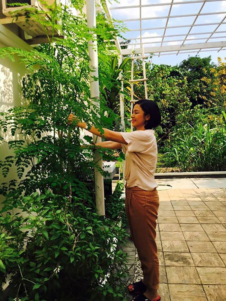 Sao Việt cuốc đất trồng rau: Thủy Tiên rao bán, riêng Quyền Linh phải đem cho - 13