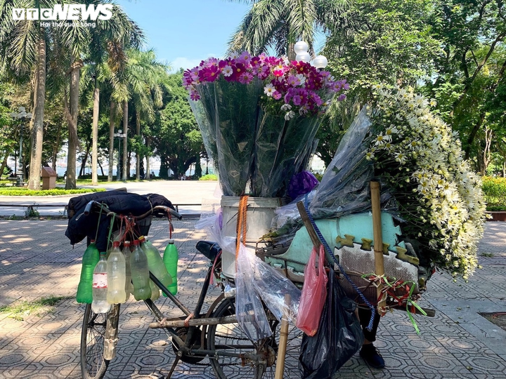 'Đặc sản' cúc họa mi đầu mùa xuống phố, chị em Hà thành xôn xao - 7