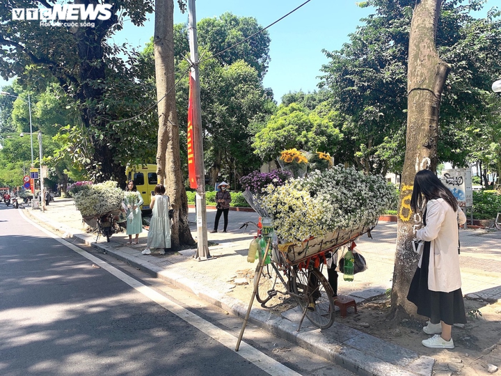'Đặc sản' cúc họa mi đầu mùa xuống phố, chị em Hà thành xôn xao - 2