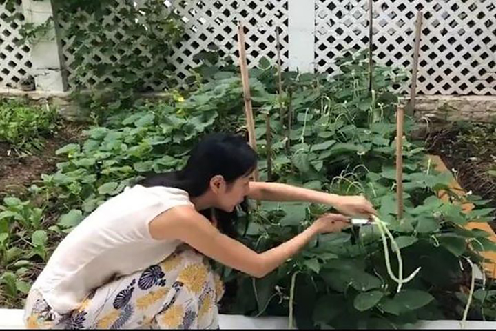 Sao Việt cuốc đất trồng rau: Thủy Tiên rao bán, riêng Quyền Linh phải đem cho - 2