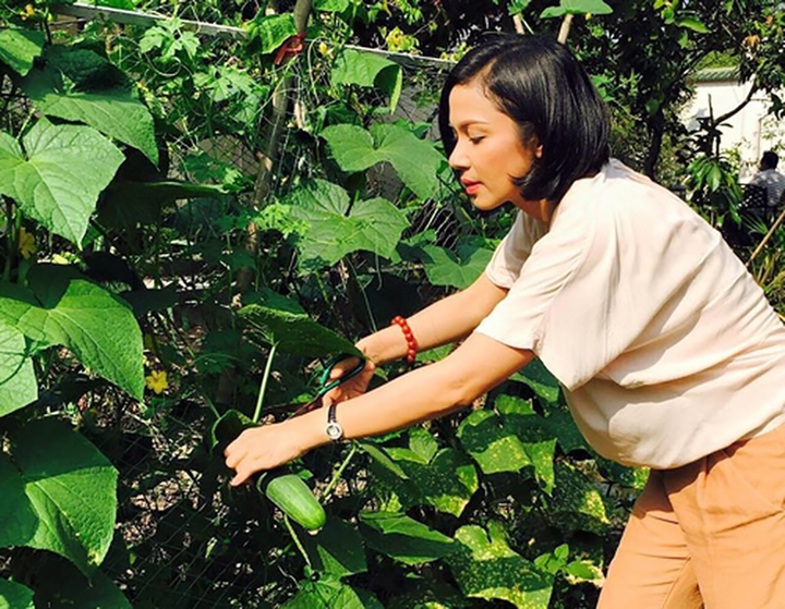 Sao Việt cuốc đất trồng rau: Thủy Tiên rao bán, riêng Quyền Linh phải đem cho - 12