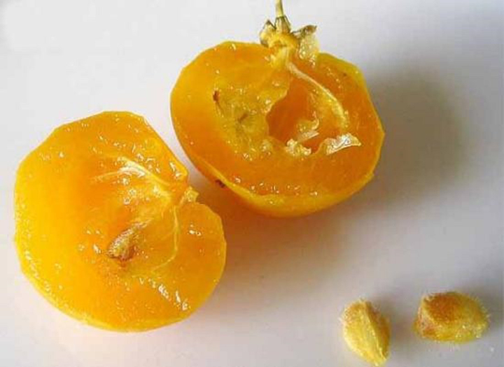 Loại quả đặc biệt gây thương nhớ 'để ngửi không ăn', thành hàng hiếm có khó tìm - 7