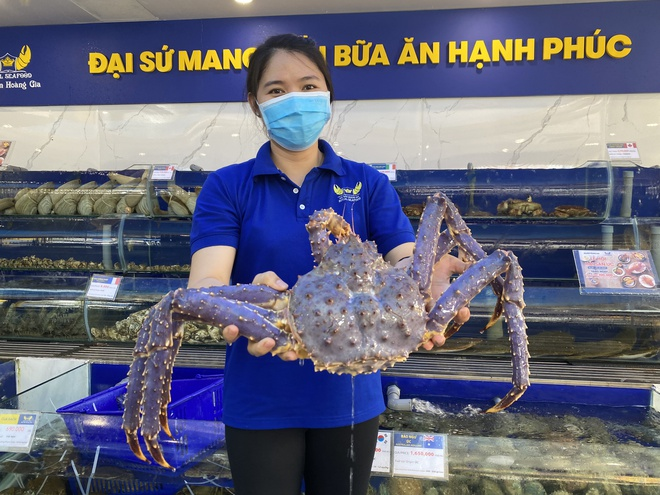 Xuất hiện cua hoàng đế tím nhập khẩu vào Việt Nam - 1