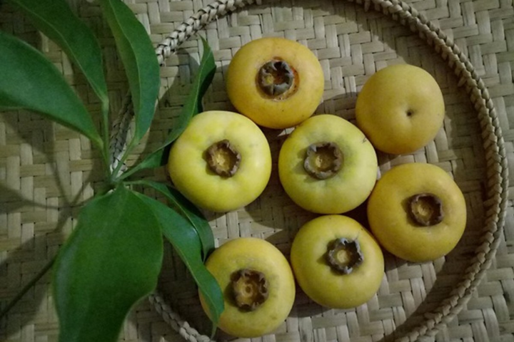 Loại quả đặc biệt gây thương nhớ 'để ngửi không ăn', thành hàng hiếm có khó tìm - 2